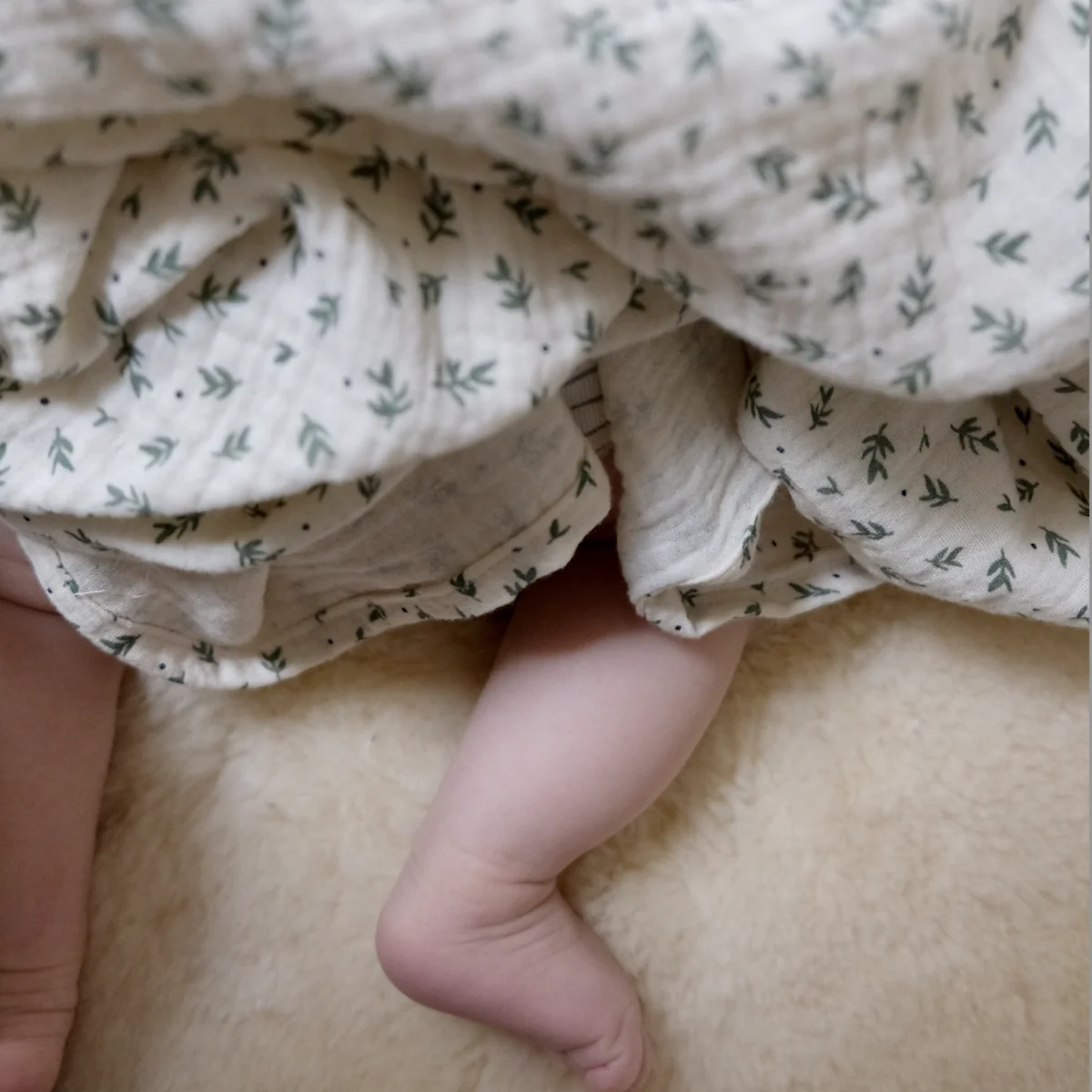 Lange Cueillette Milk - Image 3